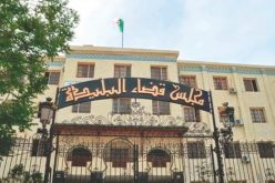 مجلس قضاء البليدة يعيد فتح ملف “قضية الخليفة” الشهر المقبل