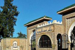 منظمة محامي المدية للبرلمان الأوروبي: هذا إستفزاز وتدخل سافر!