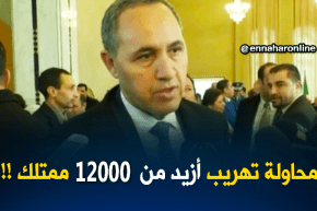 محاولة تهريب أزيد من 12000ممتلك ثقافي سنة 2017 !!