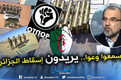 محلل إيراني يحذر الجزائريين.. هذا ما يخطط له أعداء الجزائر