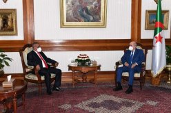 محمد الداوي: رئيس الجمهورية يريد التواصل دوريا مع الطبقة السياسية