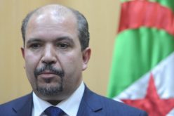 محمد عيسى : زيارتنا لبجاية تعد فرصة للاستفادة من تراث الأجداد