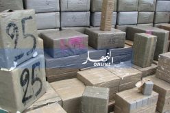 تلمسان: حجز أزيد من 3 كلغ كيف معالج بمغنية
