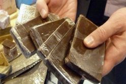 تبسة: إحباط محاولة تهريب 25 كلغ من الكيف نحو تونس