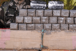 توقيف 29 بارون مخدرات وحجز أزيد من 14 قنطار زطلة خلال أسبوع