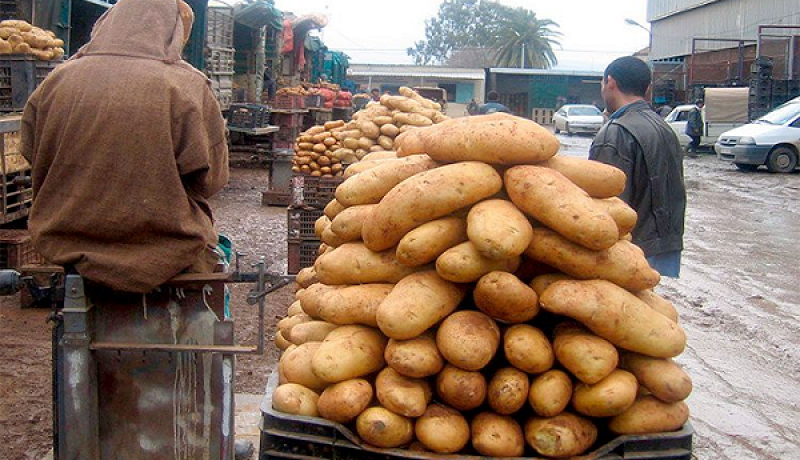 “تفريغ ثاني مخزون للبطاطا والسعر سينخفض إلى أقل من 50 دينارا”