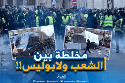 احتجاجات السترات الصفراء ..”تخلطت” مع الشرطة الفرنسية