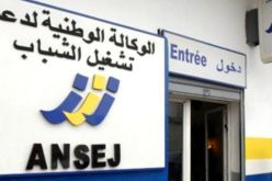 توظيف مباشر لعمال عقود ما قبل التشغيل ذوي الخبرة