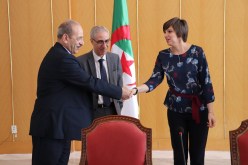 بالصور.. وزارة الثقافة تُبرم إتفاقية مع 3 شركات تأمين عمومية