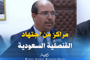 محمد عيسى: مراكز البصمة الحيوية من اجتهاد القنصلية السعودية في الجزائر