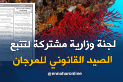 الجريدة الرسمية.. لجنة محلية للتحقق من الصيد القانوني للمرجان