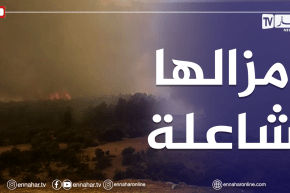 حرائق غابات خنشلة..وصول النيران إلى غابات منطقة توقات بلدية بوحمامة