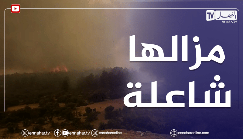 حرائق غابات خنشلة..وصول النيران إلى غابات منطقة توقات بلدية بوحمامة