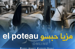 بالفيديو.. سيارة مجنونة تتسبب في حادث مروع بالبليدة