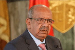 مساهل: ذكرى تأسيس الحكومة المؤقتة لها دلالات كبيرة نظرا لأهميتها السياسية