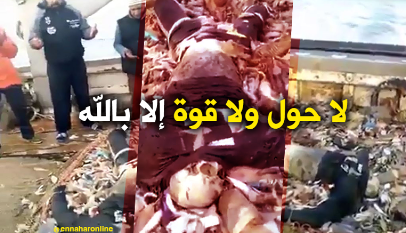 فيديو صادم.. شباك الصيد تلتقط جثة أحد “الحراڨة” بسواحل مستغانم