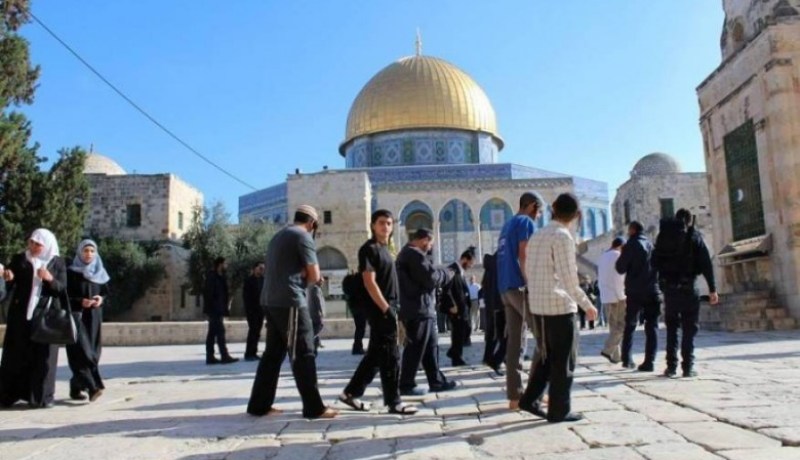 عشرات المستوطنين يقتحمون المسجد الأقصى تحت حراسة شرطة الاحتلال الصهيوني