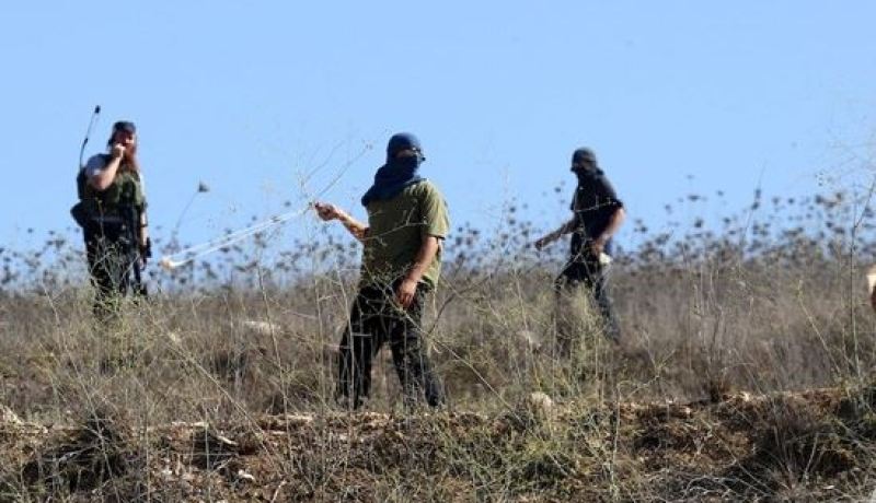 مستوطنون يعتدون على منازل وأشجار الفلسطينيين بنابلس