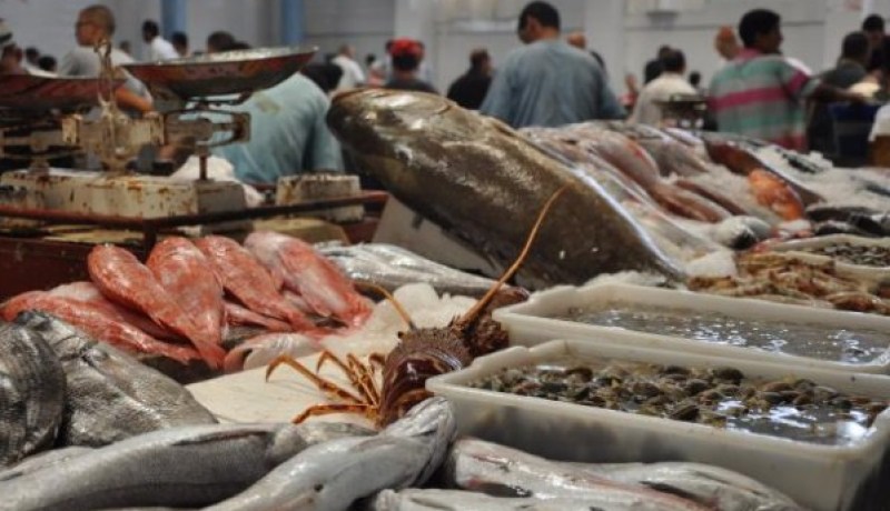 ميناء رأس جنات يتدعم بمسمكة جديدة للبيع بالجملة