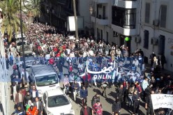 وزارة الصحة: وفاة شخص وإصابة 183 آخرين في مسيرات الجمعة