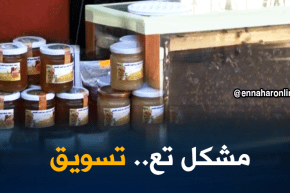 البويرة: إنتاج وفير لمادة العسل ومربو النحل يشتكون من مشكل التسويق