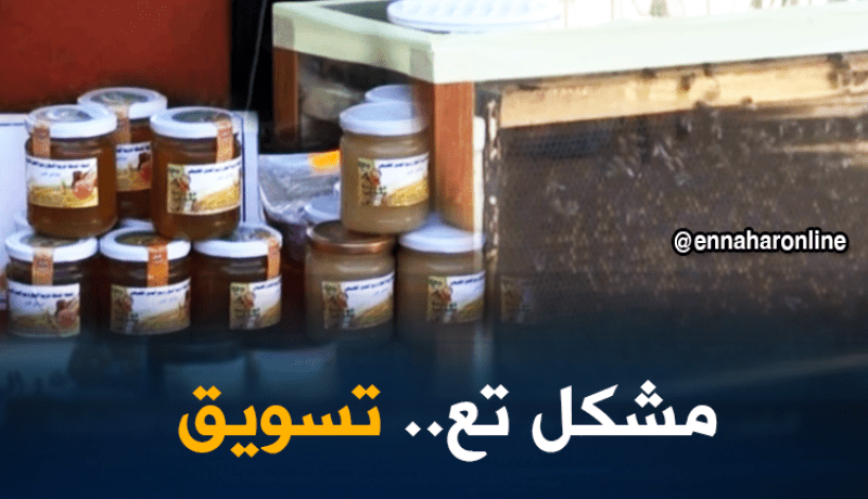 البويرة: إنتاج وفير لمادة العسل ومربو النحل يشتكون من مشكل التسويق