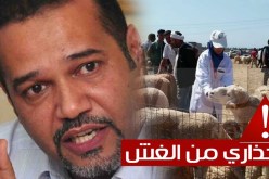 زبدي لـ”النهار أونلاين”:”التسمين السريع للمواشي سيعيد سيناريو فساد لحوم الأضاحي”