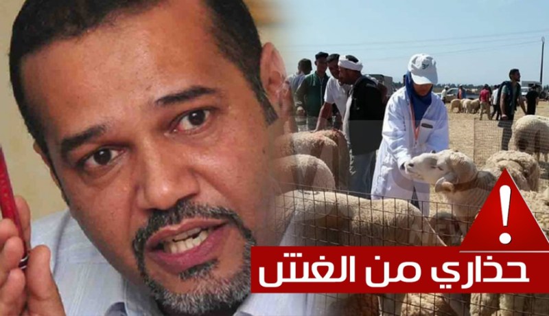 زبدي لـ”النهار أونلاين”:”التسمين السريع للمواشي سيعيد سيناريو فساد لحوم الأضاحي”