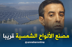 علي حداد: مصنع خاص بالألواح الشمسية قريبا في الجزائر