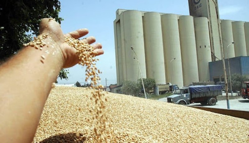 تفكيك شبكة فساد تواطأت مع 8 مطاحن في تبديد أموال عمومية بالجلفة