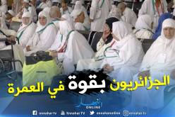 بالصور.. أكثر من 92 ألف جزائري أدوا مناسك العمرة هذا الموسم