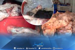 معسكر: حجز كمية من اللحوم الحمراء غير صالحة للإستهلاك بغريس