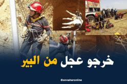 بالصور.. الحماية المدنية تنقذ عجل سقط في بئر بمعسكر