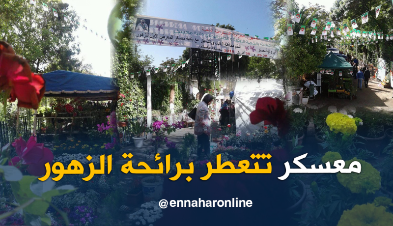 بالصور.. معسكر عاصمة للزهور إلى غاية نهاية الشهر