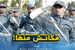 الجمارك .. المديرية العامة تنفي تنظيم مسابقة توظيف