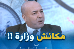 سمير شعابنة: 7 مليون جزائري مهاجر و”معندناش وزارة”