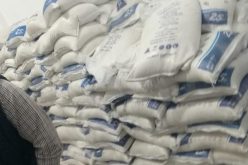 البيض.. حجز قرابة طن ملح غير صالح للإستهلاك