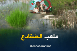 الشيخ النوي..ملعب قيمته 11 مليار.. يسبحون فيه الضفادع بعزازڨة