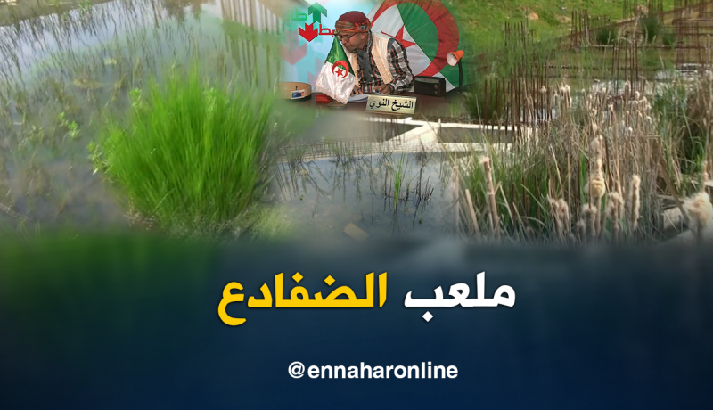 الشيخ النوي..ملعب قيمته 11 مليار.. يسبحون فيه الضفادع بعزازڨة