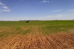 2 مليون هتكار أراضي فلاحية غير مستغلة