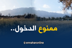 بالفيديو: حراسة مشدّدة في مكان سقوط الطائرة العسكرية