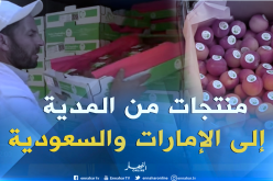 الفراولة والمشمش “لمداني” في الإمارات والسعودية