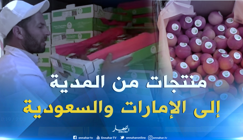 الفراولة والمشمش “لمداني” في الإمارات والسعودية