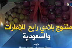 تصدير أكثر من 18 طن الخضر والفواكه نحو الإمارات والسعودية عبر مطار الجزائر