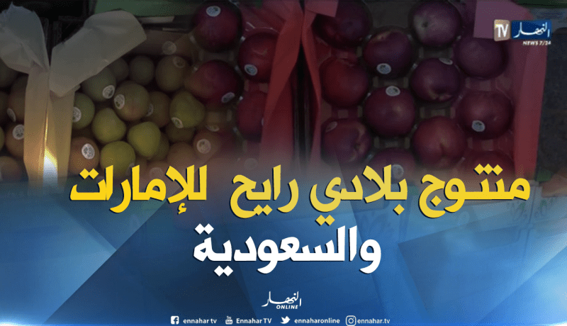 تصدير أكثر من 18 طن الخضر والفواكه نحو الإمارات والسعودية عبر مطار الجزائر