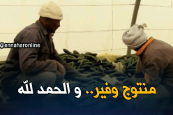ادرار: منتوج وفيربأسعار زهيدة.. فلاحون يتكبدون الخسائر