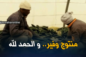 ادرار: منتوج وفيربأسعار زهيدة.. فلاحون يتكبدون الخسائر