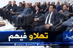 سحب منحة ذوي الإحتياجات الخاصة من المنزل وبدون التنقل لمراكز البريد