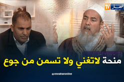 الشيخ شمس الدين: عجيب.. أم عزباء منحتها أكبر من منحة المكفوف