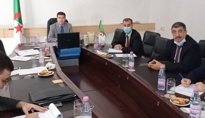 منظمة العمل العربية.. الجزائر تؤكد دعمها اللامشروط للقضية الفلسطينية العادلة